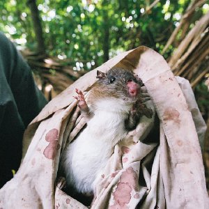 /Albums/10/107841 R1 03 31