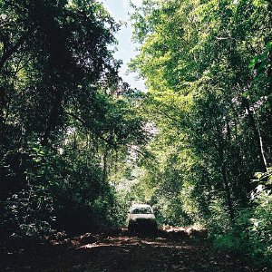 /Albums/10/107841 R1 09 25