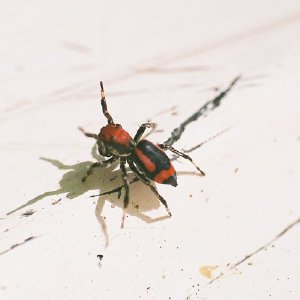 /Albums/10/107841 R1 11 23