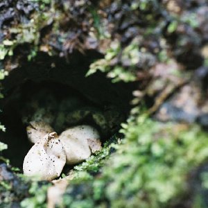 /Albums/10/107841 R1 20 14