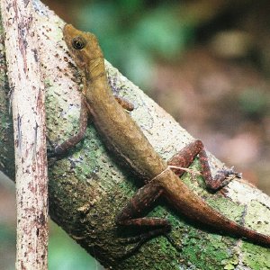 /Albums/10/107841 R1 22 12