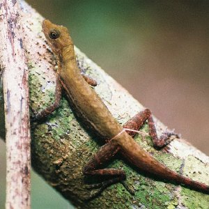 /Albums/10/107841 R1 23 11