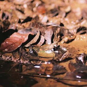 /Albums/10/43581 R1 02 3 003