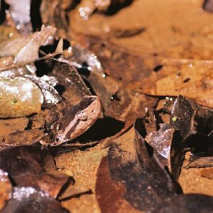 /Albums/10/43581 R1 06 7 007