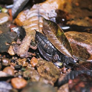 /Albums/10/43581 R1 07 8 008