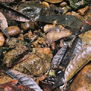 /Albums/10/43581 R1 09 10 010