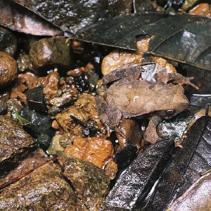 /Albums/10/43581 R1 11 12 012