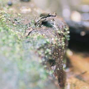 /Albums/10/43581 R1 14 15 015