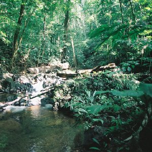 /Albums/10/43581 R1 17 18 018