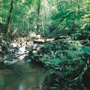 /Albums/10/43581 R1 19 20 020