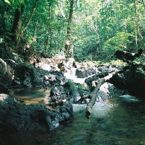 /Albums/10/43581 R1 21 22 022