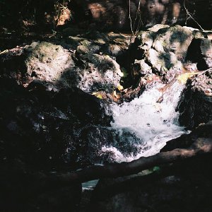 /Albums/10/43581 R1 23 24 024