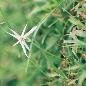 /Albums/10/43581 R1 26 27 027