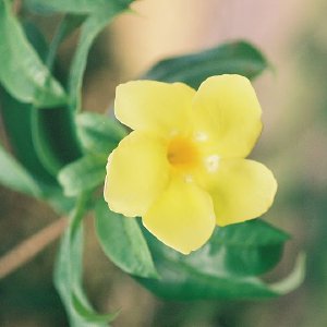 /Albums/10/43581 R1 27 28 028