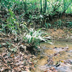 /Albums/10/43581 R1 30 31 031