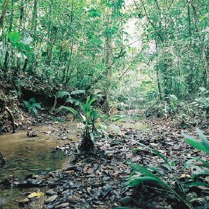 /Albums/10/43581 R1 32 33 033