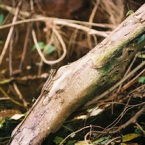 /Albums/10/449951 R1 19 17a 020