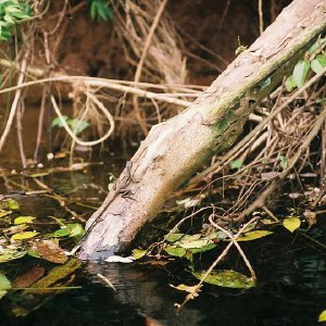 /Albums/10/449951 R1 20 16a 021