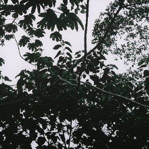 /Albums/10/449951 R1 21 15a 022