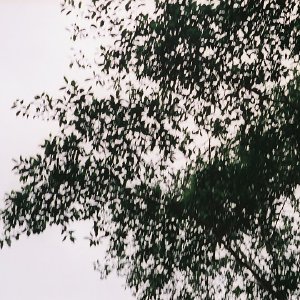 /Albums/10/449951 R1 23 13a 024