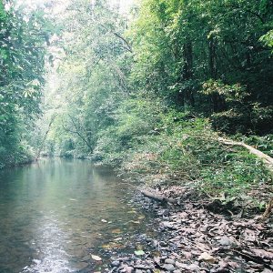 /Albums/10/449951 R1 24 12a 025