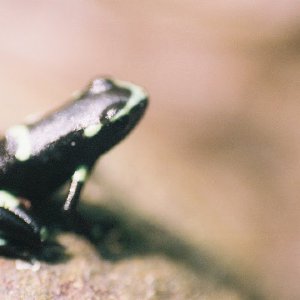 /Albums/10/449951 R1 26 10a 027