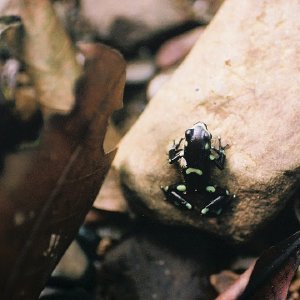 /Albums/10/449951 R1 27 9a 028