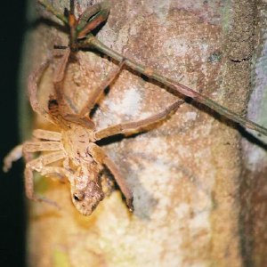 /Albums/10/449951 R1 33 3a 034