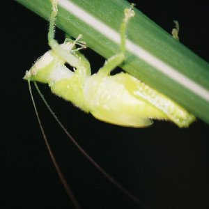 /Albums/10/449951 R1 35 1a 036