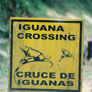 /Albums/11/107574 R1 00 1