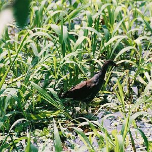 /Albums/11/107574 R1 05 6