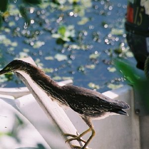 /Albums/11/107574 R1 07 8