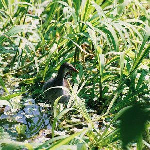 /Albums/11/107574 R1 08 9