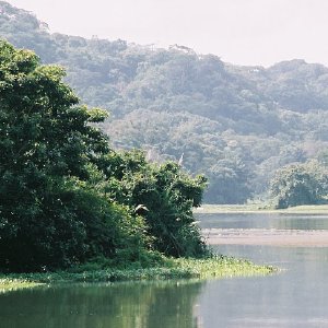 /Albums/11/107574 R1 12 13