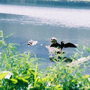 /Albums/11/107574 R1 17 18