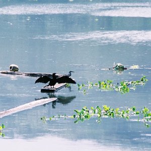 /Albums/11/107574 R1 18 19