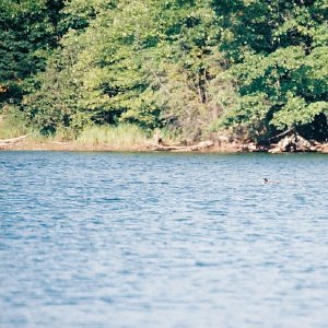 /Albums/11/107840 R1 07 7a