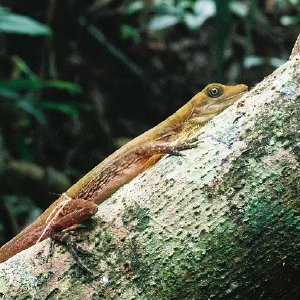 /Albums/11/107841 R1 26 8