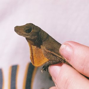 /Albums/11/107841 R1 30 4