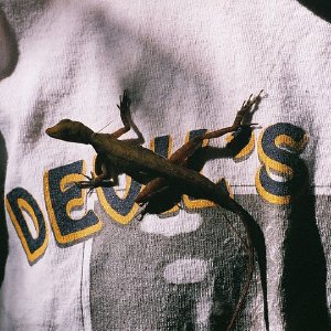 /Albums/11/107841 R1 33 1