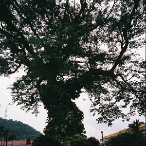 /Albums/11/43579 R1 00 32a