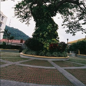 /Albums/11/43579 R1 01 31a