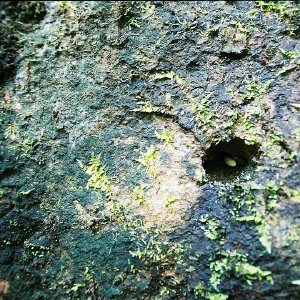 /Albums/11/43579 R1 05 27a