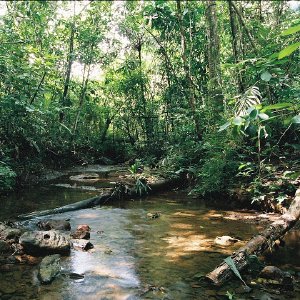 /Albums/11/43579 R1 07 25a