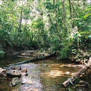 /Albums/11/43579 R1 08 24a