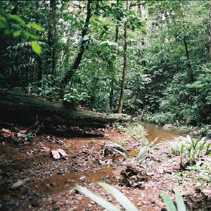 /Albums/11/43579 R1 12 20a