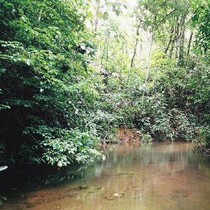 /Albums/11/43579 R1 14 18a