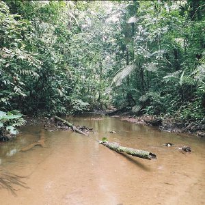 /Albums/11/43579 R1 20 12a