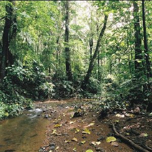 /Albums/11/43579 R1 22 10a