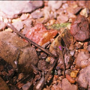 /Albums/11/43579 R1 23 9a